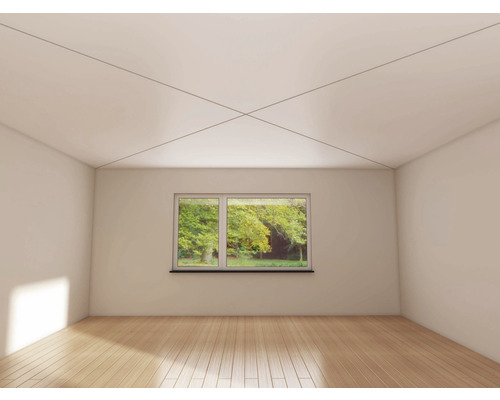 Heller Raum mit Parkettboden, Fenster und Deckendekoration