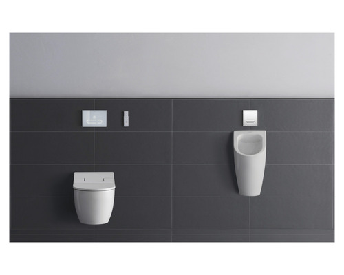 Badezimmer mit Toilette, Urinal und Betätigungsplatten vor grauer Wand