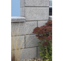 Detailansicht einer grauen Gartenmauer aus Betonsteinen mit Pflanzen