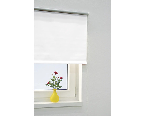 Fenster mit weißem Rollo und Vase mit roten Rosen