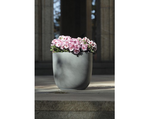 Grauer Pflanzkübel mit rosa Blüten auf einer Steinterrasse