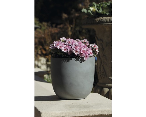 Grauer Pflanztopf mit rosa Blüten auf einer Steinmauer