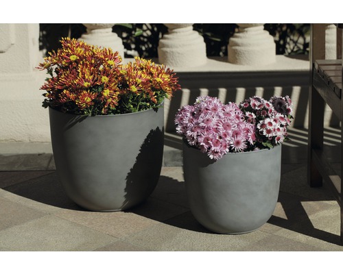 Zwei graue Pflanzgefäße mit Blumen auf einer Terrasse