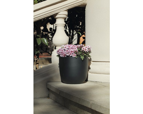 Schwarzer Pflanztopf mit rosa blühenden Blumen auf einer Treppe