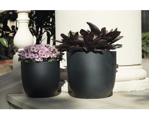 Zwei Pflanzgefäße mit Pflanzen auf einer Steinterrasse.