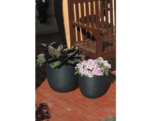 Zwei bepflanzte, runde Pflanzgefäße aus Kunststoff auf einer Terrasse