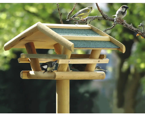 Vogelhaus aus Holz mit Vögeln auf Ästen und am Futterplatz