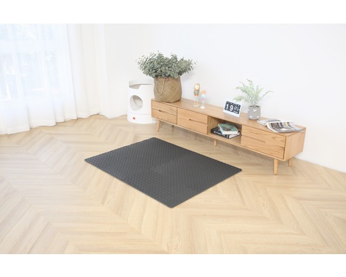 Wohnzimmer mit dunkler, rechteckiger Fußmatte auf dem Boden.