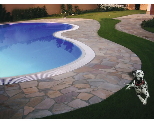 Außenpool mit Steinumrandung und Dalmatiner im Garten