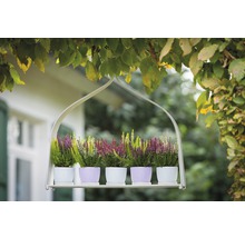 Hängendes Regal mit Heidekraut in Töpfen