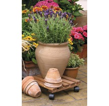 Dekorative Gartenszene mit Terrakottatopf, Holzrollbrett und verschiedenen Blumen