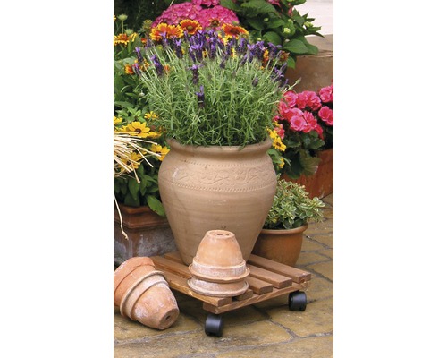 Dekorative Gartenszene mit Terrakottatopf, Holzrollbrett und verschiedenen Blumen