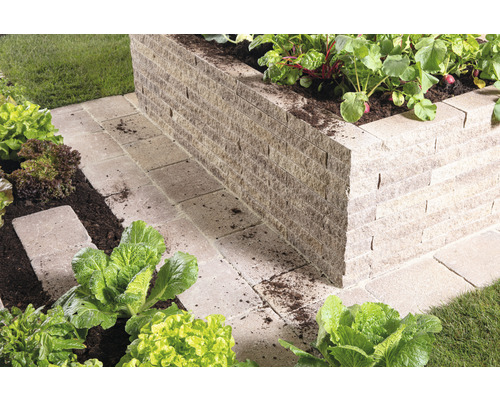 Hochbeet aus Stein mit Gemüse und gepflastertem Weg im Garten.