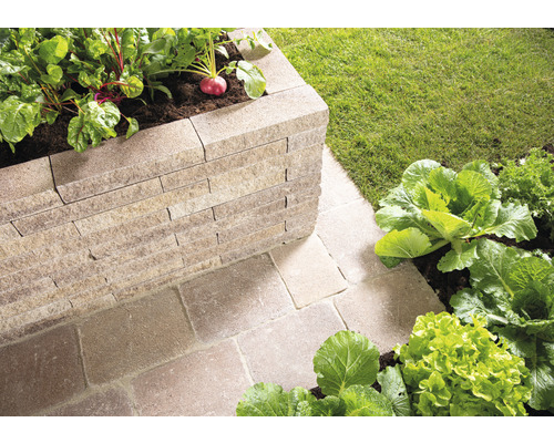 Hochbeet aus Stein mit Gemüse und Salat im Garten