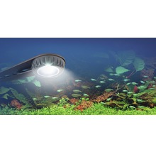 Aquariumleuchte über einem Aquarium mit Fischen und Pflanzen
