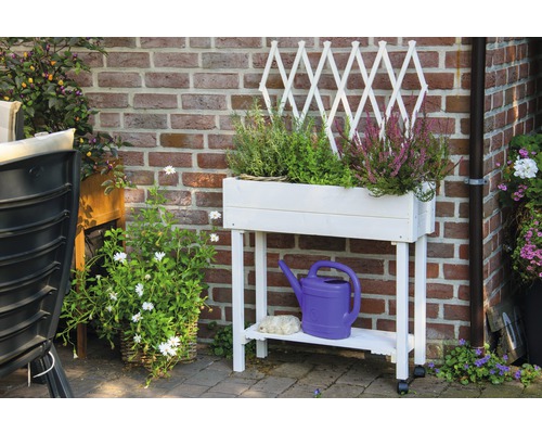 Dekoratives Hochbeet aus Holz mit Rankgitter, bepflanzt mit verschiedenen Pflanzen, sowie Gießkanne und Steinen.