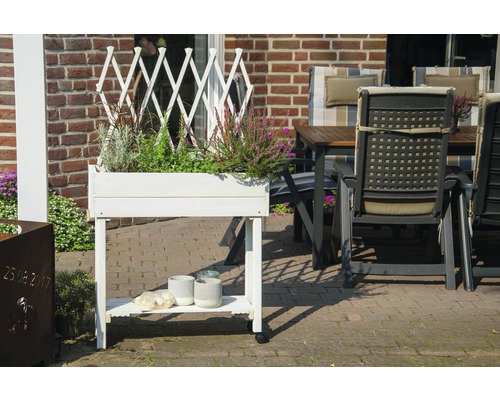 Ein weißer Pflanztisch mit Pflanzen und Gartendekoration im Freien.