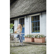 Eine Frau sitzt an einem Gartentisch vor einem Haus mit Blumenkästen und Reetdach.