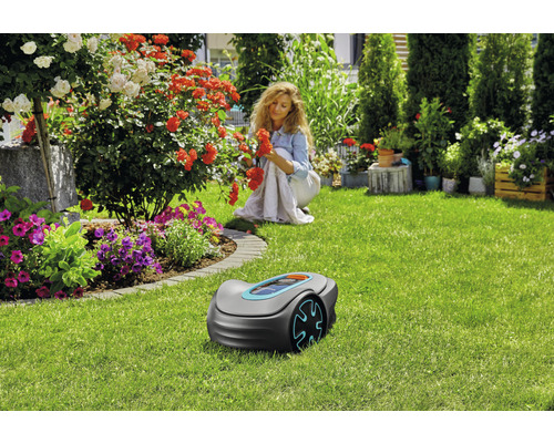 Szene eines Gartens mit Rasenmähroboter und einer Frau, die sich um Rosen kümmert