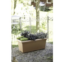 Pflanzkasten mit Kräutern und Salat im Garten
