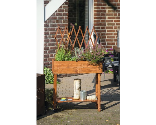 Hochbeet aus Holz mit Pflanzen und Rankgitter vor einer Hauswand