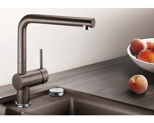 Küchenarmatur aus Metall neben einer Spüle und Früchten