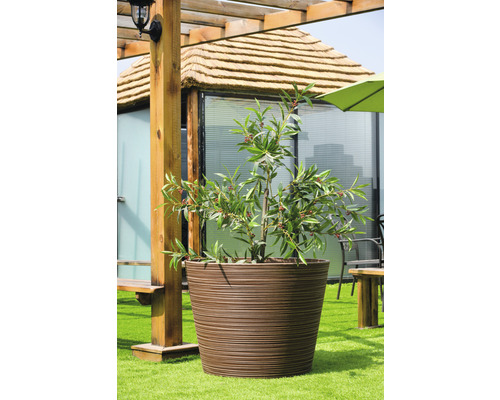 Großer Pflanztopf mit Pflanze im Außenbereich