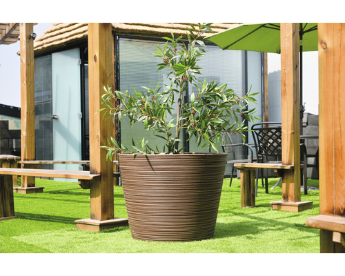 Großer Pflanzkübel mit Pflanze auf einer Terrasse mit Holzmöbeln