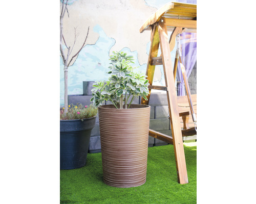 Szene mit einem Topf mit einer Pflanze und einem Gartenschaukelgestell aus Holz