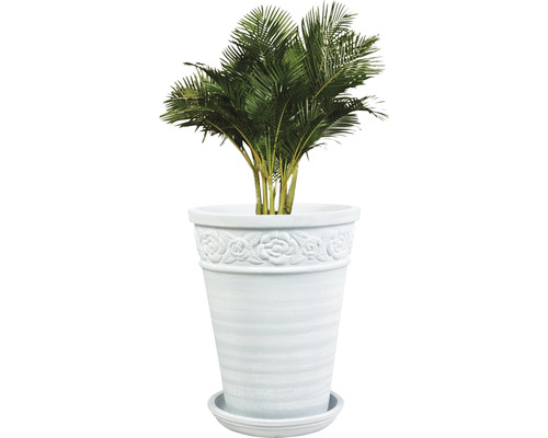 Areca-Palme in einem Blumentopf mit Rosenmuster