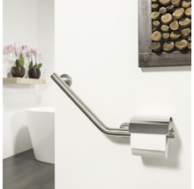Toilettenpapierhalter mit Haltegriff aus Edelstahl im Badezimmer