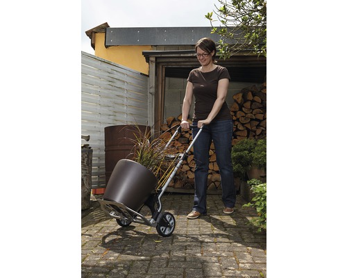 Frau transportiert großen Blumentopf mit einer Sackkarre
