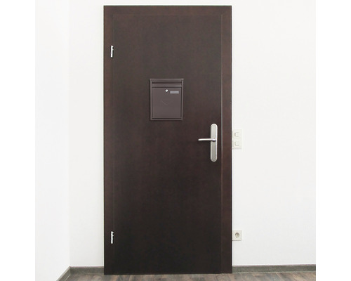 Braune Haustür mit Briefkasten und Türgriff