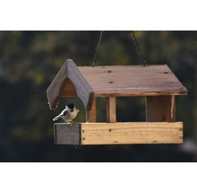 Hölzernes Vogelhaus mit hängender Aufhängung und einer Sumpfmeise