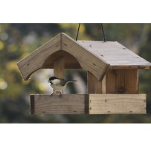 Vogel auf einem Holz Vogelhaus mit Dach