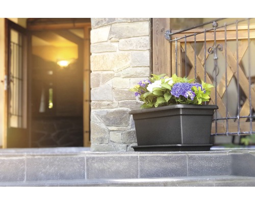 Blumenkasten mit Pflanzen vor Haustür auf Treppe
