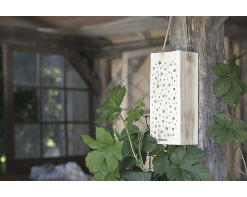 Holz Insektenhotel mit vielen Löchern hängt an einem Holzbalken
