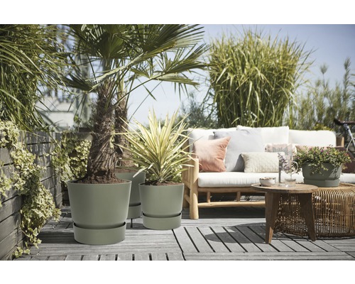 Terrasse mit Pflanzen in Blumentöpfen und Sitzgelegenheit