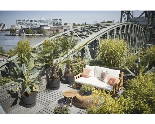 Dachterrasse mit Möbeln und Pflanzen vor einer Brücke
