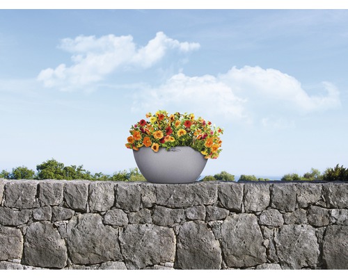 Blumen in Pflanzgefäß auf einer Steinmauer vor blauem Himmel