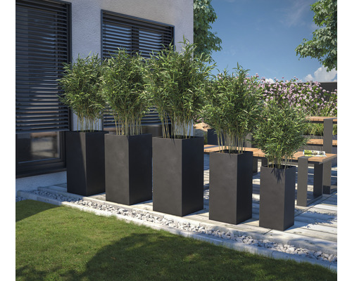 Außenbereich mit Pflanzkübeln und Bambuspflanzen auf Terrasse