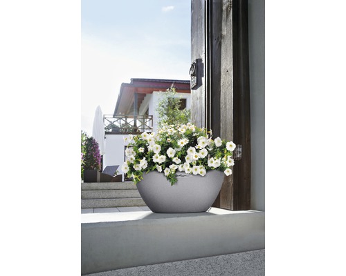 Grauer Pflanzkübel mit weißen Blumen vor einem Haus