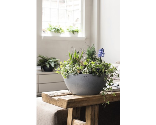 Dekorative Pflanzschale mit Grünpflanzen und blühenden Hyazinthen auf einem Holztisch im Innenraum