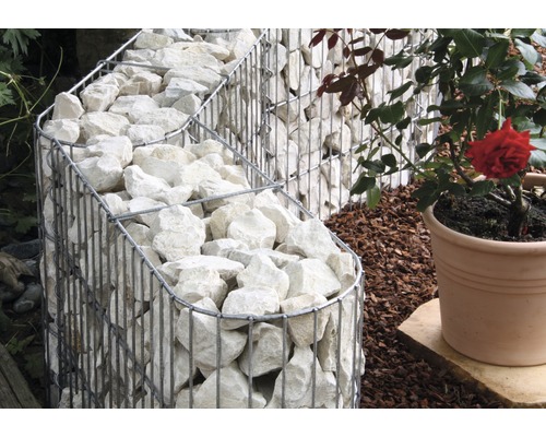 Gabionenwand mit weißen Steinen und einer Rose im Topf