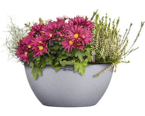 Blumenarrangement im Pflanzgefäß