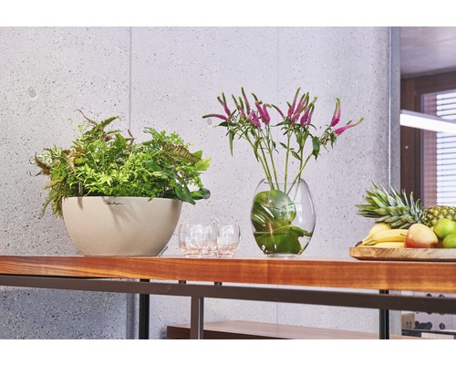 Dekorative Zimmerpflanzen in Übertöpfen und Vasen auf einem Holzregal.