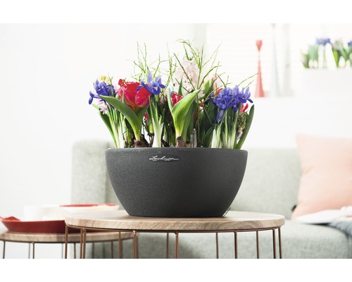 Dekorative Blumenschale mit verschiedenen Blumensorten auf einem Tisch