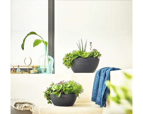 Zwei bepflanzte Blumentöpfe von Lechuza im Innenbereich