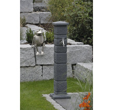 Gartenszene mit Wasserzapfsäule und Froschfigur
