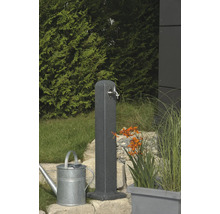 Gartenszene mit Wasserzapfsäule, Gießkanne und Bepflanzung